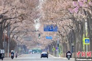 平凉共建“花园城市” 北京这场议政会“百花齐放”