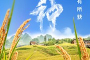 平凉芒种节气小知识来了 夏种作物都有什么？